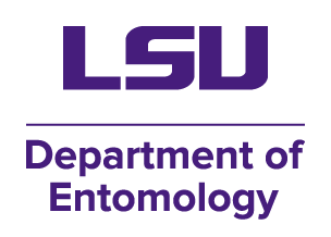 Department of Entomology